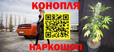 сатива Кулебаки