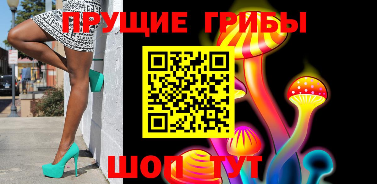 Псилоцибиновые грибы GOLDEN TEACHER  Галлюциногенные грибы Cubensis  Десногорск  Вход с VPN 