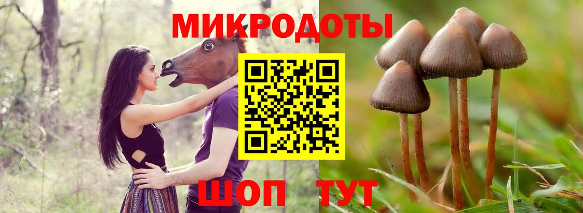 Галлюциногенные грибы Cubensis Десногорск